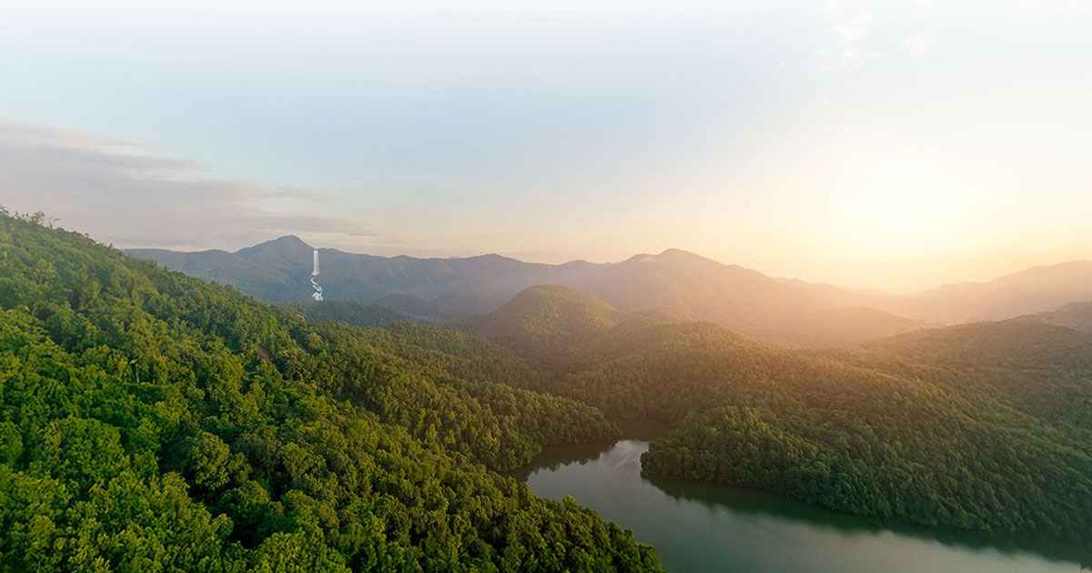 Growing Forests, Restoring Life