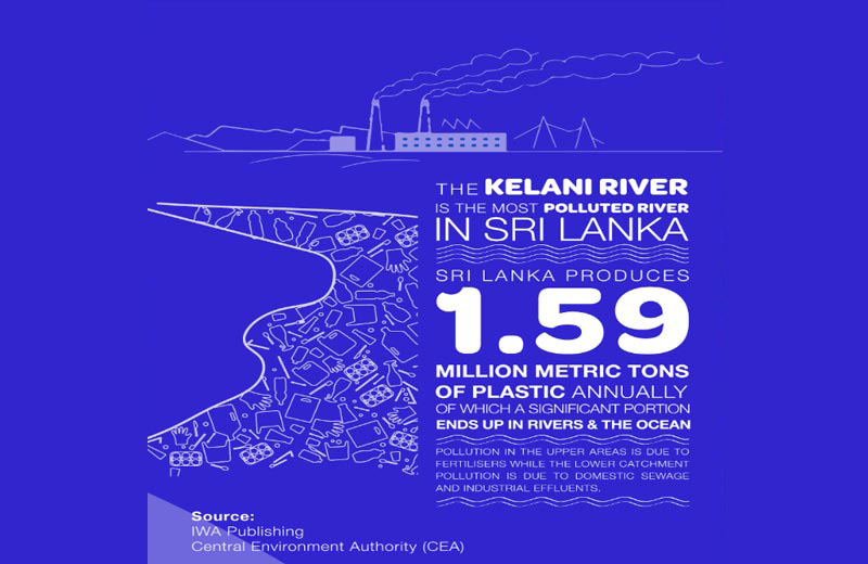 Re-Island