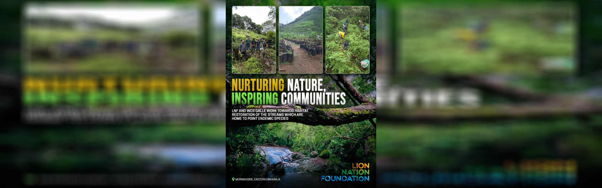 Growing Forests, Restoring Life